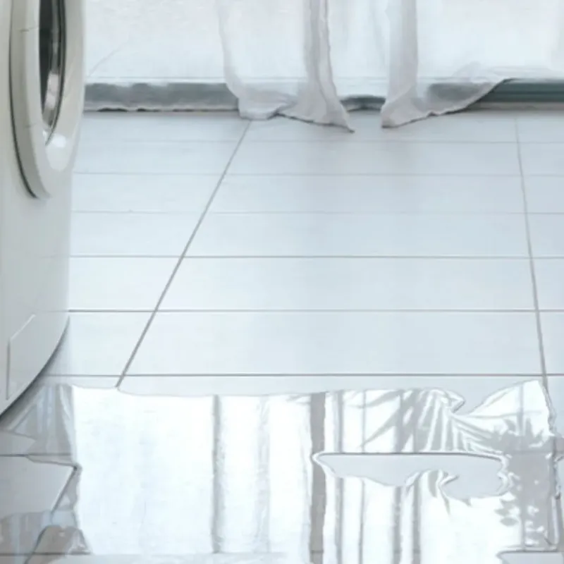 Appliance Leak Cleanup in Bonsall, CA